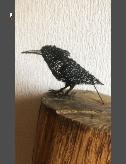 oiseau2