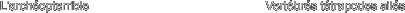 L'archopterrible    